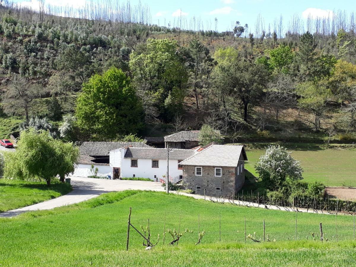 A Charming , Traditional Cottage At Quinta Da Ribeira فيلا نوفا دي بوياريس المظهر الخارجي الصورة